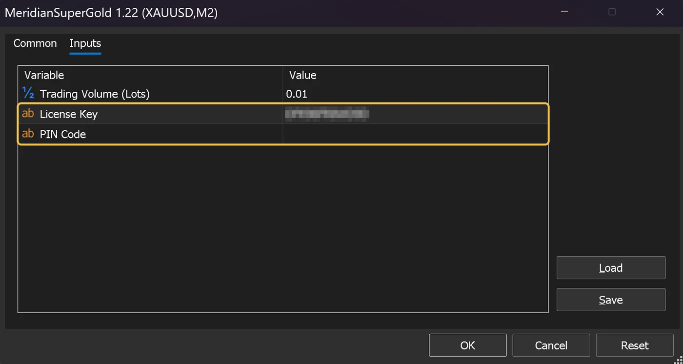 Die Registerkarte Inputs mit eingegebenem License Key, der auf diesem Bild verborgen ist, und leerem Feld PIN Code.